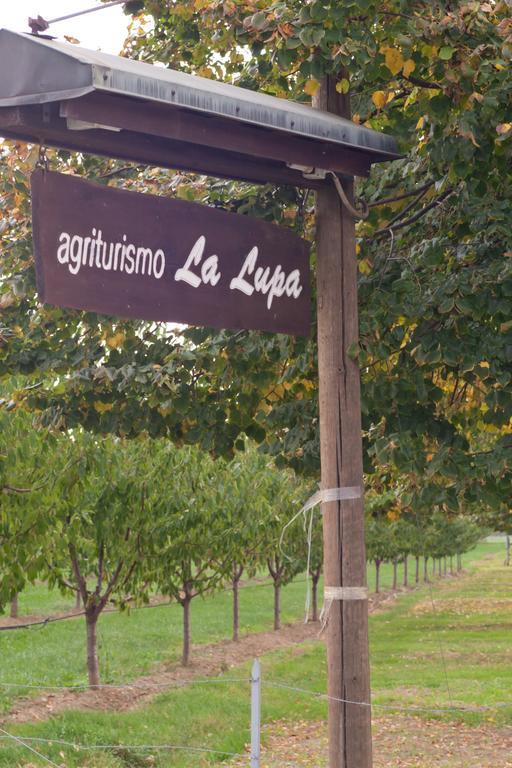 Agriturismo La Lupa Madonna della Provvidenza Kültér fotó